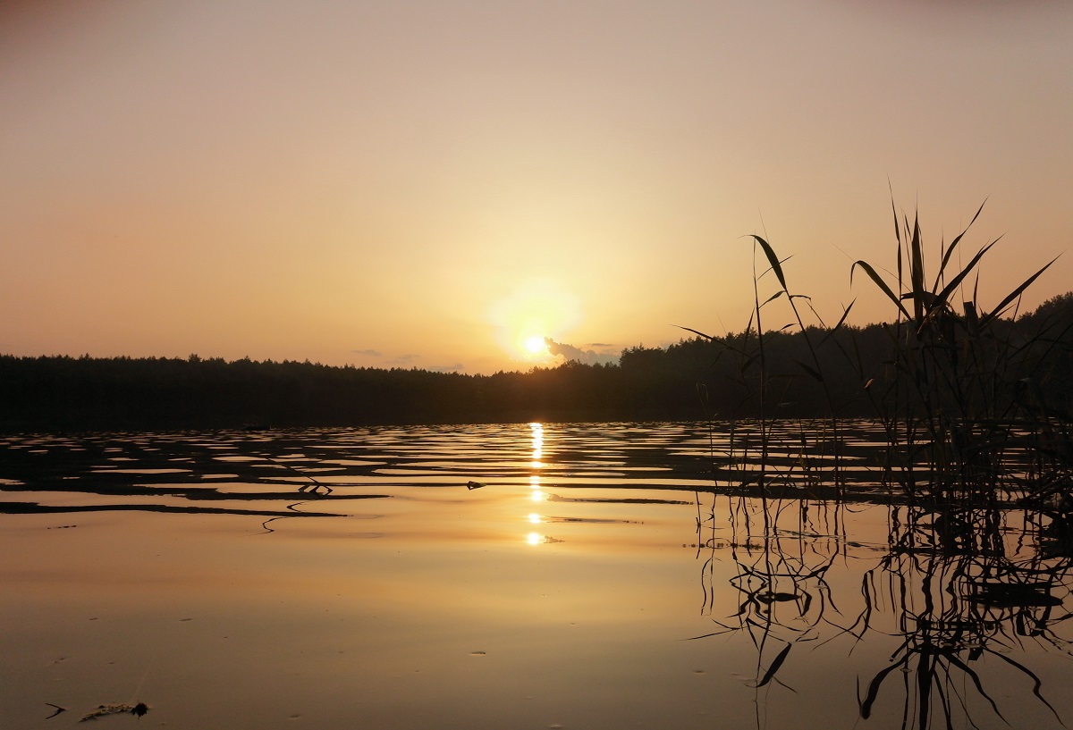 Розчарування чи альтернатива морю: чи варто їхати на знамениті Голубі озера на Чернігівщині